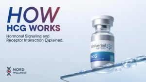 how-hcg-works-hormonal-signaling-and-receptor-interaction-explained