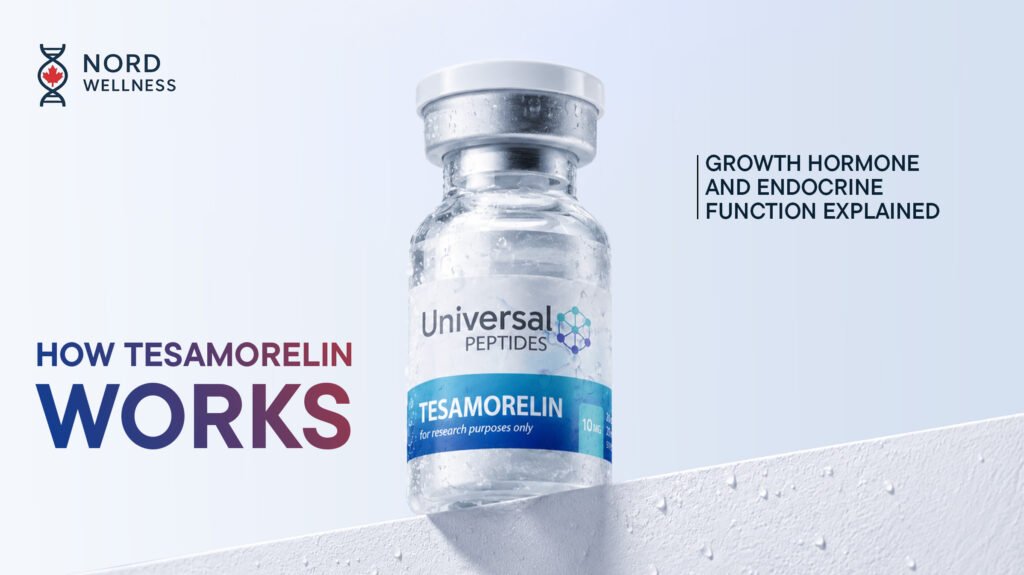 how-tesamorelin-works-growth-hormone-and-endocrine-function-explained