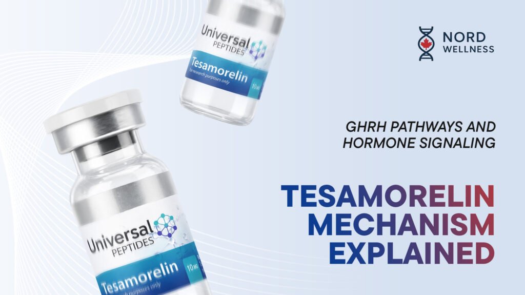 tesamorelin-mechanism-explained-ghrh-pathways-and-hormone-signaling